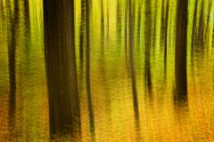 _DTR1286_ver2