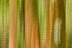 _DTR1476