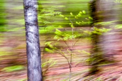 _DTR1746