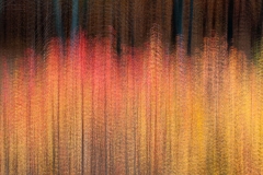 _DTR2333