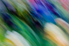 _DTR4211