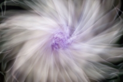 _DTR4556-as-Smart-Object-11