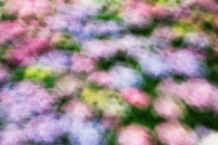 _DTR6695-Edit