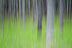 _DTR7928