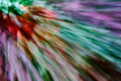_DTR8444