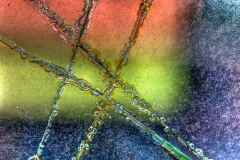 _DTR1771_2_3_4_5Enhancer-Edit