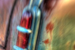 _DTR3886_87_88_89_90_91_92Enhancer
