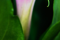 _DTR1657