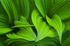 _DTR7538-as-Smart-Object-1_1