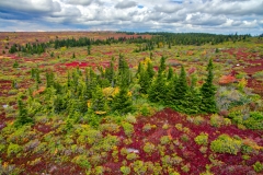 DJI_0013_HDR_edit
