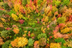 DJI_0132