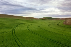 DJI_0168