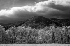 _DR10170-Edit