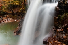 _DSC1263