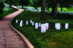 _DSC2517_18_19_20_21Enhancer