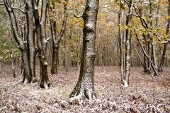 _DSC3827-Edit-2