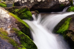 _DSC6796_797_798_799_800_fused