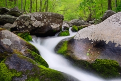_DSC6801_2_3_4_5_fused