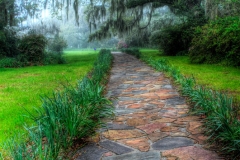 _DTR0172_3_4_5_6_7_8_tonemapped