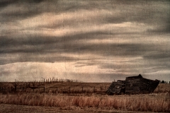 _DTR5319_HDR