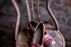 _D4S6789-HDR-Edit