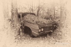 D204535-HDR-Edit