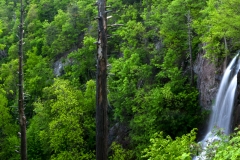 LewisFalls_Panorama1