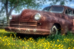 _DSC0566_67_68_69_70_71_72Enhancer